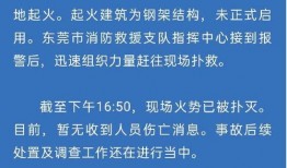 东莞新闻消息怎么爆料,聚焦民生热点，共筑和谐家园